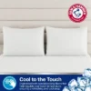 Arm & Hammer Standard/Queen Cooling Comfort Pillow Protector