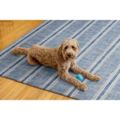 5'x7' Washable Wallen Rug Ivory/Blue: Rubber Backed, Stain-Resistant, Low Pile, Contemporary Stripe - Linon -Bedding Discounts GUEST 28c24e4a 7543 49ac 9dfc bc7da8a52505