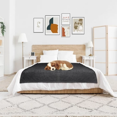 Hyleory Electric Fleece And Flannel Heated Throw Blanket With Two Size 8 Hyleory Electric Fleece And Flannel Heated Throw Blanket With Two Size - Image 8