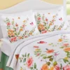Collections Etc Colorful Rose Trail Butterfly Scalloped Edge Pillow Sham Set