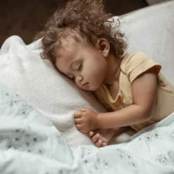 Southshore Fine Living Sweet Florals Oversized Ultra-soft Duvet Cover Set With Shams