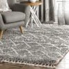 NuLOOM Transitional Kristi Shag Area Rug