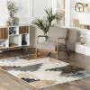 NuLOOM Vanita Transitional Southwestern Fringe Area Rug