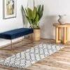 NuLOOM Machine Washable Global Trellis Area Rug