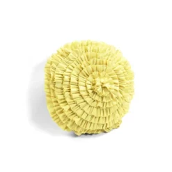 5pc Harley Quilt Set - Lush Décor -Bedding Discounts GUEST a3925529 3e50 4c64 9a40 0d184f3aeb56