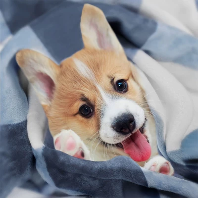 PiccoCasa Flannel Pom-Pom Tartan Checkered Fleece Throw Blanket 1Pc 2 PiccoCasa Flannel Pom-Pom Tartan Checkered Fleece Throw Blanket 1Pc - Image 2