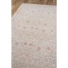 5'3"x7'3" Isabella Hermione Area Rug Pink - Momeni