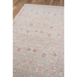 5'3"x7'3" Isabella Hermione Area Rug Pink - Momeni