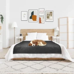 Hyleory Reversible Electric Flannel Heated Throw Blanket With Two Size 15 Hyleory Reversible Electric Flannel Heated Throw Blanket With Two Size -Bedding Discounts GUEST b2f74021 e959 45c8 be86 caf47774688a