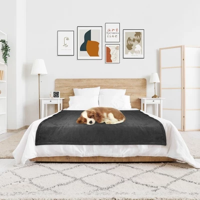 Hyleory Reversible Electric Flannel Heated Throw Blanket With Two Size 8 Hyleory Reversible Electric Flannel Heated Throw Blanket With Two Size - Image 8