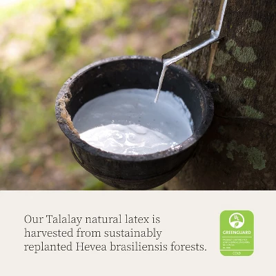 Coop Home Goods Extra Oomph Latex Pillow Fill, 1/2 Lb Bag Of Cross-Cut Talalay Latex & Microfiber Fill, Supportive, Naturally Cooling, Eco-Friendly 2 Coop Home Goods Extra Oomph Latex Pillow Fill, 1/2 Lb Bag Of Cross-Cut Talalay Latex & Microfiber Fill, Supportive, Naturally Cooling, Eco-Friendly - Image 2