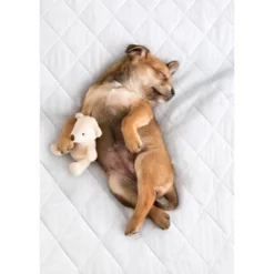 PharMeDoc Leak Proof Slip-Resistant Mattress Pad Protector -Bedding Discounts GUEST f9e49a72 ff02 4989 a11f 738424550171